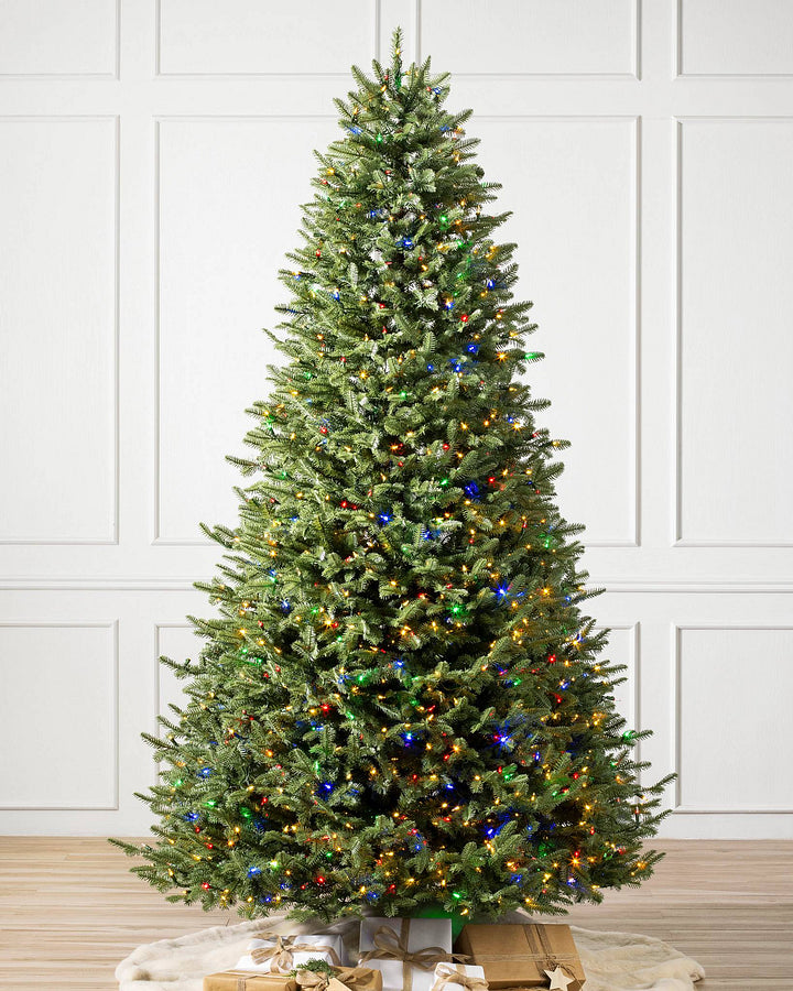 MC Balsor Classic Tree