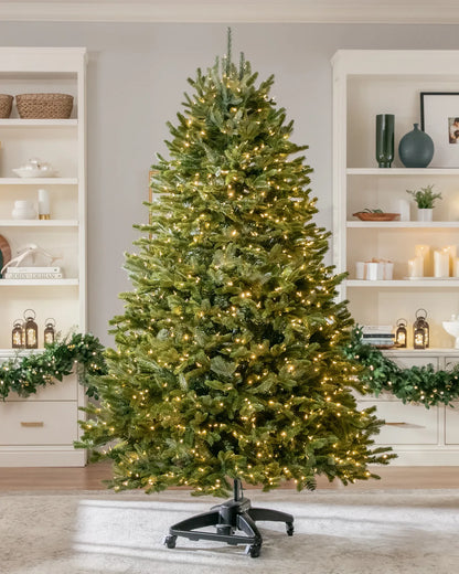 Maison™ Starlight Balsam Tree - Buy 1 Get 1 Free